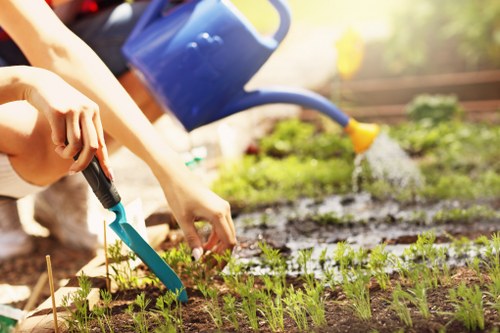 A gardener's hands using a small hand trowel to plant young seedlings in a well-maintained garden bed, with freshly turned soil, neat rows of small plants, and surrounding lush green hedges and shrubs. In the background, a blue watering can is being used to water the plants, with sunlight illuminating the scene and casting gentle shadows on the soil and foliage. The garden features a mix of natural soil and bordered flower beds, highlighting a tidy outdoor space typically maintained by professionals such as Landscapers Haringey. The scene is set in a residential garden or landscaped yard, demonstrating attention to detail in the planting process, suitable for services related to gardening and outdoor space enhancement in Haringey or nearby London areas.