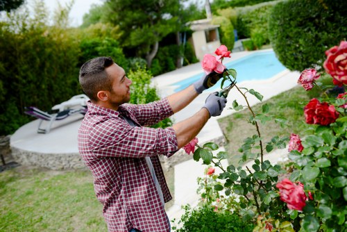 A man working in a garden with a well-maintained lawn and landscaped outdoor space, planting or tending to vibrant pink roses along a border. The garden features a neatly trimmed hedge, a paved pathway, and a swimming pool with a blue cover in the background. Tall trees and lush greenery surround the area, creating a private and inviting outdoor environment. The man is dressed casually in a checkered shirt and gardening gloves, focusing on the roses and ensuring healthy growth. The scene is set in daylight with clear weather, highlighting the rich green foliage and colorful flowers, reflecting professional gardening and landscaping practices suitable for residential gardens in Haringey or nearby areas.