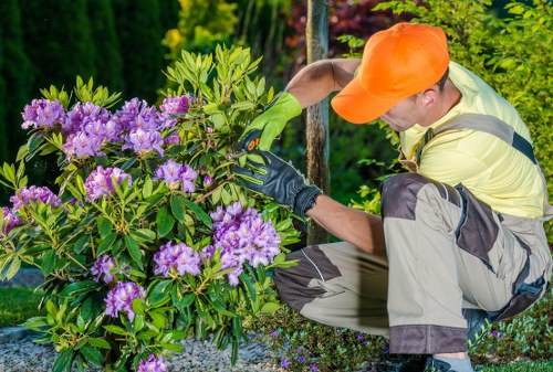 Advanced lawn mowing techniques for a pristine lawn