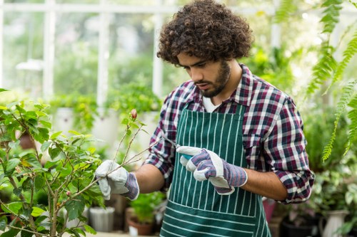 A young man with curly brown hair, wearing a checked shirt, a green striped apron, and gardening gloves, is tending to plants in a greenhouse or garden center. He appears to be examining or pruning a small branch with delicate pink flowers. The background is filled with lush green foliage, including various shrubs and plants, with some potted plants visible on shelves or the ground. The scene is well-lit with natural sunlight filtering through the glass structure, highlighting the vibrant green of the leaves and the natural tones of the soil bed. This outdoor or greenhouse environment reflects professional gardening activity, suitable for landscaping or garden maintenance in the Haringey area, with attention to plant health and growth support. The setting emphasizes professional gardening services offered by Landscapers Haringey, focusing on plant care and horticultural expertise in a well-maintained, lush environment.