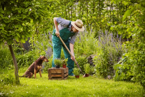 Customer complaint review for a landscaping service