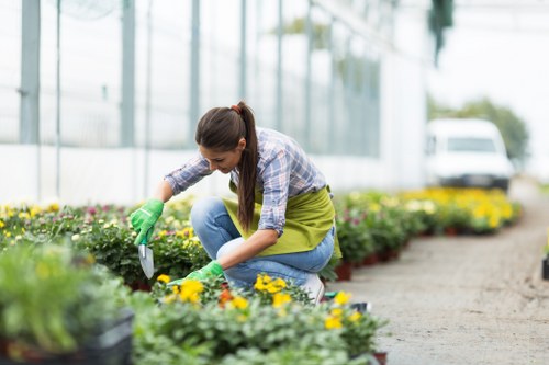 A woman wearing a plaid shirt, blue jeans, and green gardening gloves is kneeling on the ground in a large greenhouse or nursery, tending to colorful flowering plants arranged in a bed. She is carefully pruning or inspecting the flowers, which include yellow, purple, and pink blooms, located along a paved pathway. In the background, there are more flower beds and greenhouses with glass panels, allowing natural light to illuminate the vibrant garden environment. The scene captures a well-maintained outdoor space typical of professional gardening and landscaping efforts in Haringey, emphasizing sustainable plant care and horticultural practices. The overcast weather provides even lighting, highlighting the lush greenery and bright flower colours, reflecting a mindful approach to outdoor plant maintenance and sustainable gardening services offered by Landscapers Haringey.