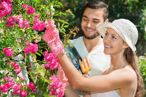 Illustration representing accessible Landscapers Haringey web content