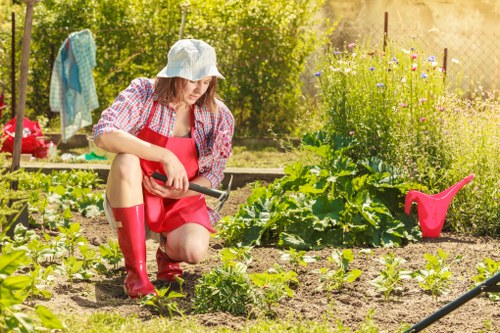 A woman in a garden, kneeling on the soil and tending to young vegetable plants. She is wearing a patterned shirt, a red apron, and bright red rubber boots. The garden features neatly arranged vegetable beds with visible green leafy plants, surrounded by rich, dark soil. In the background, there are a variety of plants, some flowering, along with a wooden fence and trees providing natural shade. Gardening tools and a pink watering can are also visible in the scene. The environment appears sunny with natural light highlighting the lush greenery and vibrant colors of the plants, suggesting an outdoor space typical of private or community gardens in Haringey. The scene emphasizes outdoor maintenance and gardening activities as part of a professional gardening service.