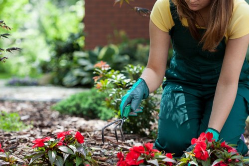 A person wearing yellow and dark green gardening overalls is kneeling in a well-maintained outdoor garden area, tending to a bed of vibrant red flowering plants with a small handheld gardening tool. The garden features a lush, green lawn, bordered by neatly trimmed shrubs and various leafy plants, with some flowering foliage adding natural colour contrast. In the background, there are trees and other garden plants, suggesting a spacious and landscaped yard typical of residential gardens in the Haringey area. The scene is illuminated by natural daylight, indicating a clear weather day, and the soil around the plants appears moist and healthy, ready for further landscaping or planting tasks. This setting exemplifies professional gardening and maintenance activities that Landscapers Haringey may offer to keep outdoor spaces vibrant and well-kept, integrating flower beds, lawn care, and planting in a natural, organized manner.
