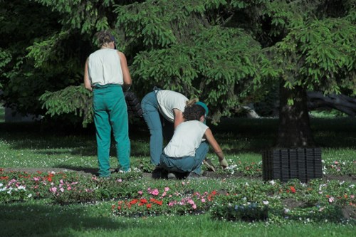 Comprehensive landscaping services provided by Haringey experts