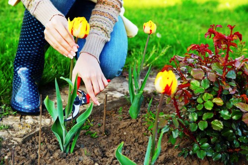 Stylish outdoor design for a Haringey garden makeover