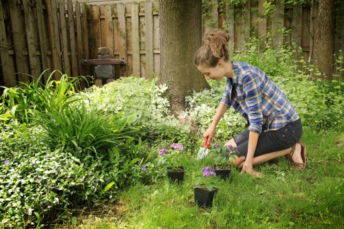 A woman kneeling on a well-maintained lawn in a backyard garden in Haringey, London, planting small flowering plants in black pots. The garden features a variety of lush green foliage, including a dense border of shrubs and leafy plants, with a large tree trunk visible in the background. The lawn appears evenly mown with vibrant green grass, bordered by flower beds containing a mixture of flowering plants and ground cover. A wooden fence surrounds the space, providing privacy and a natural backdrop, and a small garden ornament or feature is partially visible near the fence. The scene is lit by natural daylight, indicating fair weather, and the garden layout suggests regular maintenance and care, aligning with professional gardening services offered by Landscapers Haringey for local outdoor spaces.