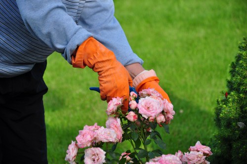 A gardener wearing a grey long-sleeved shirt and bright orange gardening gloves is pruning or tending to a cluster of pink roses in a landscaped outdoor garden. The roses are in full bloom with lush, layered petals, situated in a flower bed bordered by soil and low greenery. In the background, there is a well-maintained lawn with dense, vibrant green grass, and a neatly trimmed hedge or shrub visible to the right side of the image. The garden appears to be well cared for, with an emphasis on floral and natural elements typical of a residential outdoor space in Haringey, London. The lighting indicates a bright, possibly sunny day, highlighting the vivid colors of the flowers and the healthy greenery. Such detailed garden maintenance aligns with professional gardening services that enhance outdoor environments by shaping plants and maintaining garden beds. The scene reflects a professional approach to outdoor landscape upkeep, suitable for homeowners seeking experienced landscaping and garden care in the Haringey borough.