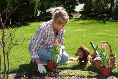 A woman with blonde hair tied back, dressed in a plaid shirt and blue jeans, is kneeling on a well-maintained lawn in a garden in Haringey, London, planting pink tulips in a small terracotta pot. She is wearing white gardening gloves and is focused on the task, with her left hand supporting the plant. To her right, a brown puppy with floppy ears sits attentively, observing her activity. Nearby, there is a woven basket filled with more pink tulips and a garden trowel placed on the grass. The garden features a lush, green lawn with a border of shrubs and trees in the background, providing a natural backdrop under a bright, partly cloudy sky. The scene captures a moment of outdoor gardening in a typical suburban garden in the UK, showcasing elements like flower planting, lawn care, and general outdoor maintenance that local gardening services, such as those offered by Landscapers Haringey, might support. The environment is bathed in natural light, emphasizing the fresh and vibrant qualities of the garden setting, indicative of seasonal gardening activity in the spring or early summer.