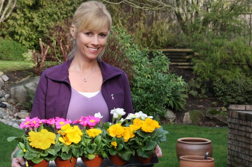 A smiling woman with blonde hair, dressed in a purple jacket and light-colored top, stands in a well-maintained garden holding a tray of vibrant flowering plants, including yellow, pink, and white blossoms in small pots. The garden features a lush green lawn, various shrubs and trees in the background, and a brick wall or pathway on the right side. This outdoor space appears to be part of a residential property serviced by Landscapers Haringey, with natural lighting indicating a bright, clear day, suitable for gardening and outdoor maintenance activities typical of local landscaping in Haringey and the surrounding London area.