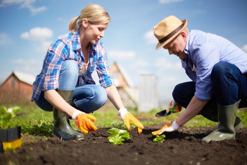A woman and a man are engaged in gardening activities in a backyard garden, both wearing gardening gloves and wellington boots. The woman, dressed in a blue plaid shirt and jeans, is kneeling on the soil, planting a small green leafy plant. The man, wearing a light blue shirt, dark trousers, and a straw hat, is also kneeling and assisting with planting while using small gardening tools. The garden features a neatly tilled flower bed with rich, dark soil, bordered by grass. In the background, there are a few trees, a blue sky with some clouds, and part of a wooden fence. The outdoor environment appears bright and sunny, indicating clear weather. This scene highlights typical garden maintenance and planting tasks, which local gardening services like Landscapers Haringey frequently provide to maintain landscaped outdoor spaces in the Haringey area postcodes such as N, providing a natural connection to professional gardening and outdoor landscaping services in the vicinity.