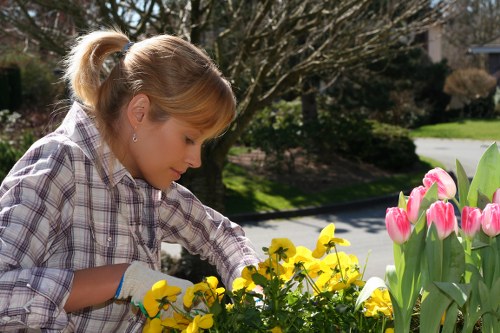 A woman with light brown hair tied back in a ponytail is gardening outdoors in a residential garden during daytime, planting or tending to a flower bed containing bright yellow and pink tulips. The garden features a lush, green lawn, neatly bordered flower beds, and mature trees with bare branches suggesting early spring. She is wearing a plaid shirt and gardening gloves, focusing on her task. The background includes a paved pathway and a suburban landscape with more trees and houses, indicating a well-maintained outdoor space typical of Haringey. The natural lighting highlights the vibrant colors of the flowers and the textures of the foliage, demonstrating attentive garden care likely provided by local landscaping services such as Landscapers Haringey.