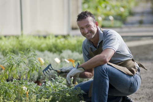 A man with dark curly hair and a broad smile is crouching in a lush garden, tending to a variety of green plants. He is wearing a grey shirt, jeans, and a brown gardening apron, and holding a hand rake in his right hand while using his left hand to support himself on his knee. The garden features a vibrant, well-maintained lawn in the foreground, with neatly arranged flower beds containing leafy plants and small flowers. In the background, there is a wooden fence and some trees with dense green foliage, suggesting a landscaped outdoor space typical of residential gardens in Haringey. The scene appears to be on a bright, clear day with natural sunlight illuminating the garden, emphasizing the natural tones of the soil, plants, and wooden elements. This image reflects professional gardening work carried out by Landscapers Haringey, demonstrating skills in planting and garden maintenance within a neatly organized outdoor environment, consistent with gardening services in the borough.