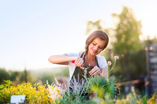 Beautifully landscaped garden in Haringey by professional landscapers